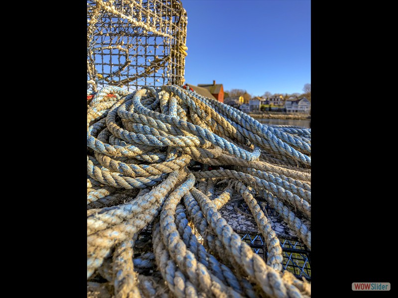 Rope and Trap