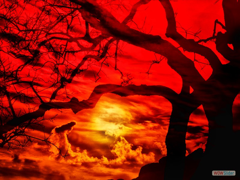 Alternate Reality#17