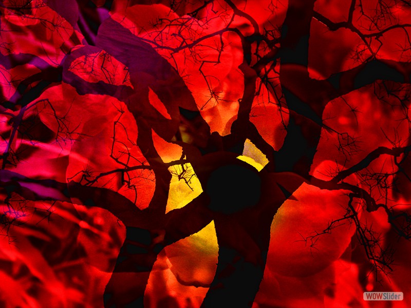 Alternate Reality #15